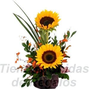 Arreglo de Girasoles | Arreglos de Girasoles | Arreglos florales con Girasoles - Whatsapp: 980-660044